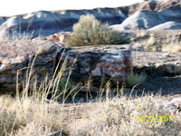 PFNP